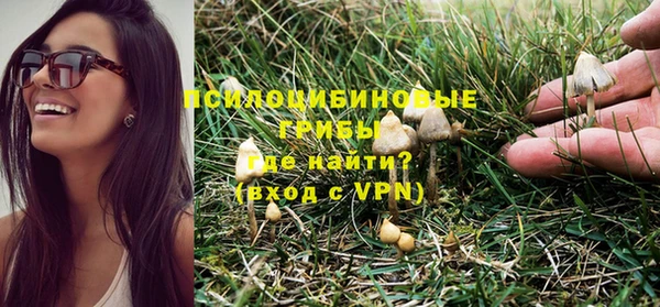 экстази Алексин