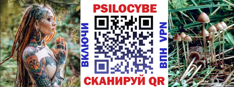 Псилоцибиновые грибы Cubensis Югорск